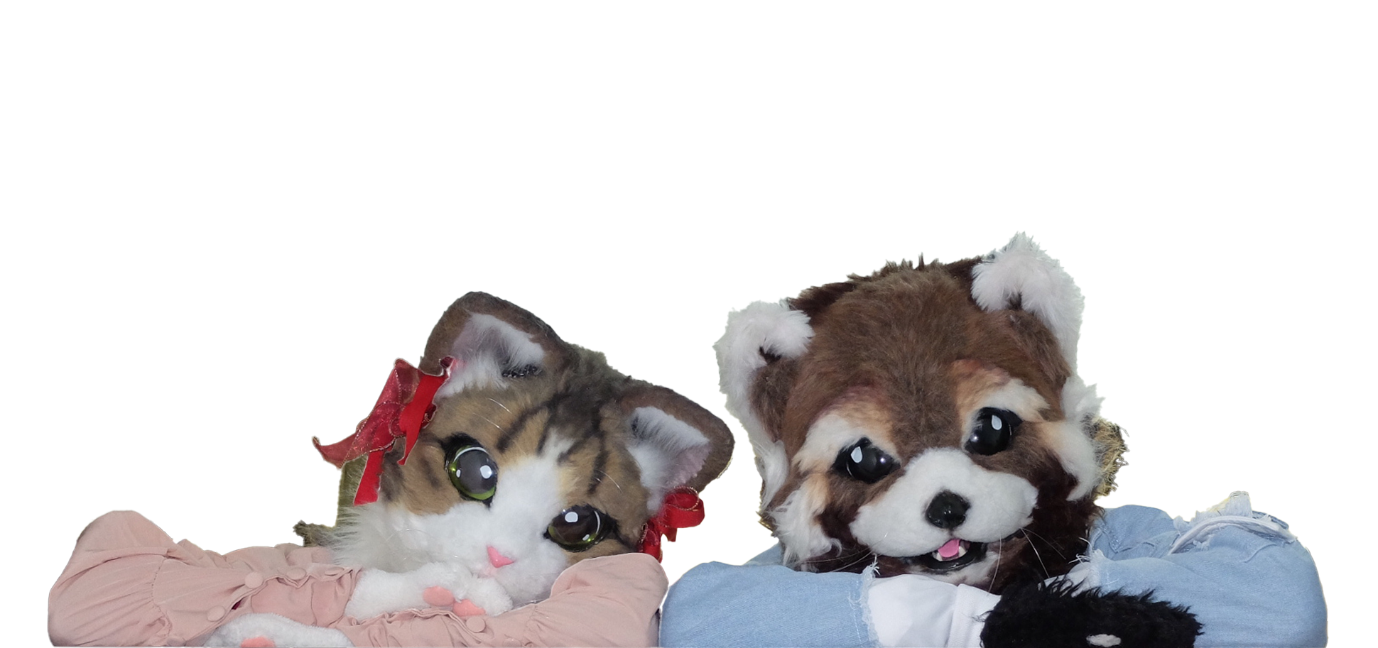 ショッコラン|幼稚園保育園の訪問公演なら「大好き」が心を育てる体験型ファミリーコンサート